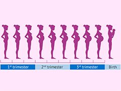 �갮ҽѧ�����ܽ�������������ĳ�������